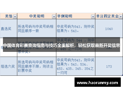 中国体育彩票查询指南与技巧全面解析，轻松获取最新开奖信息